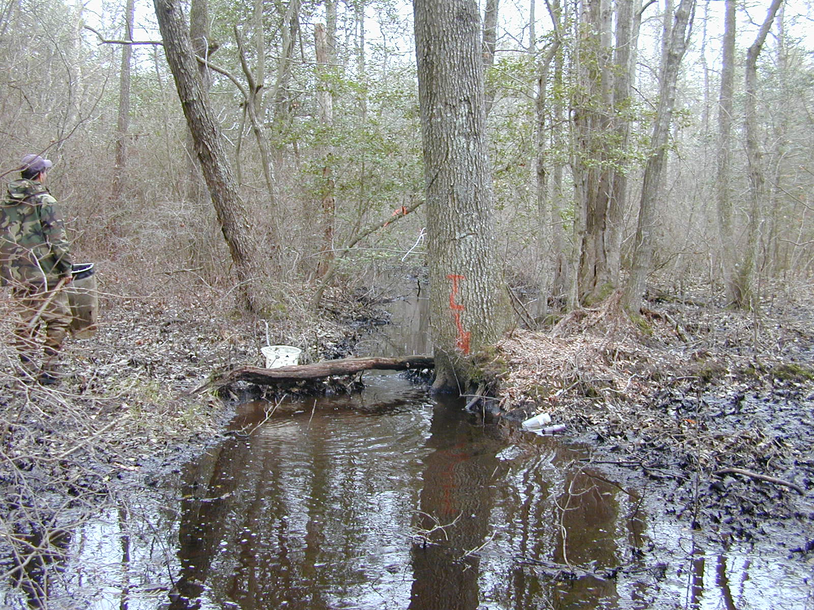Field photo showing stream conditions at site MACK-110-R-2004-1