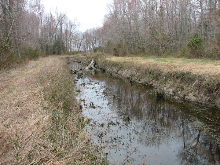 Field photo showing stream conditions at site MACK-110-R-2007-1