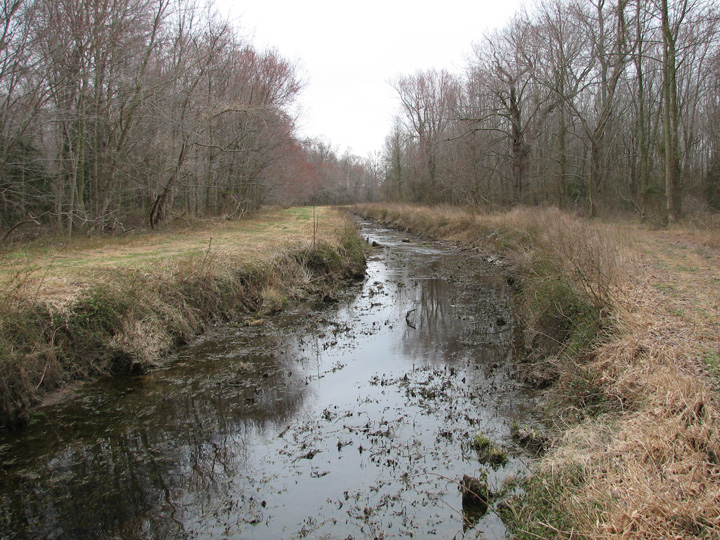 Field photo showing stream conditions at site MACK-110-R-2007-2