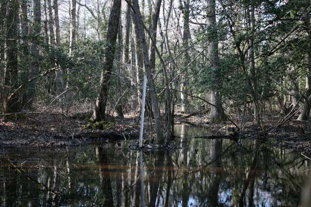 Field photo showing stream conditions at site MACK-110-S-2012-MidpointPdownstream