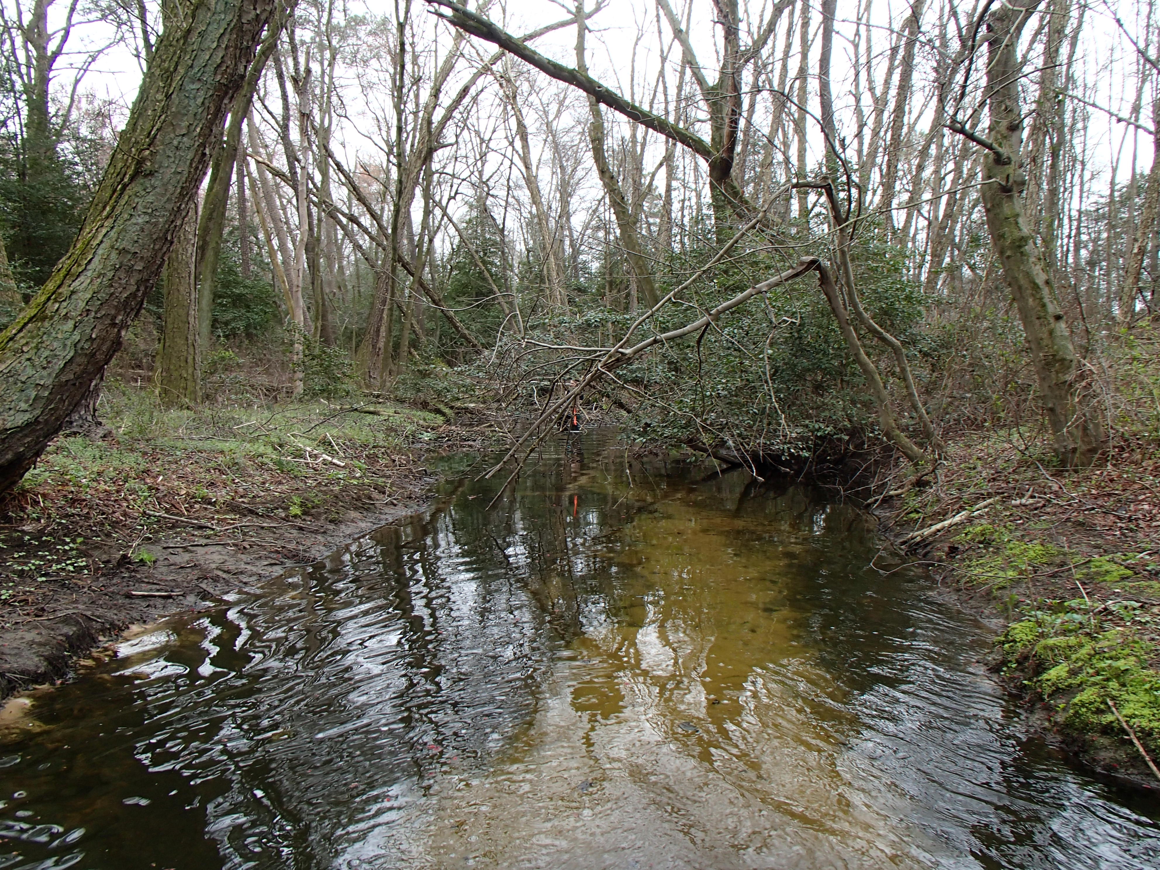 Field photo showing stream conditions at site MACK-115-R-2015_Midpoint-downstream
