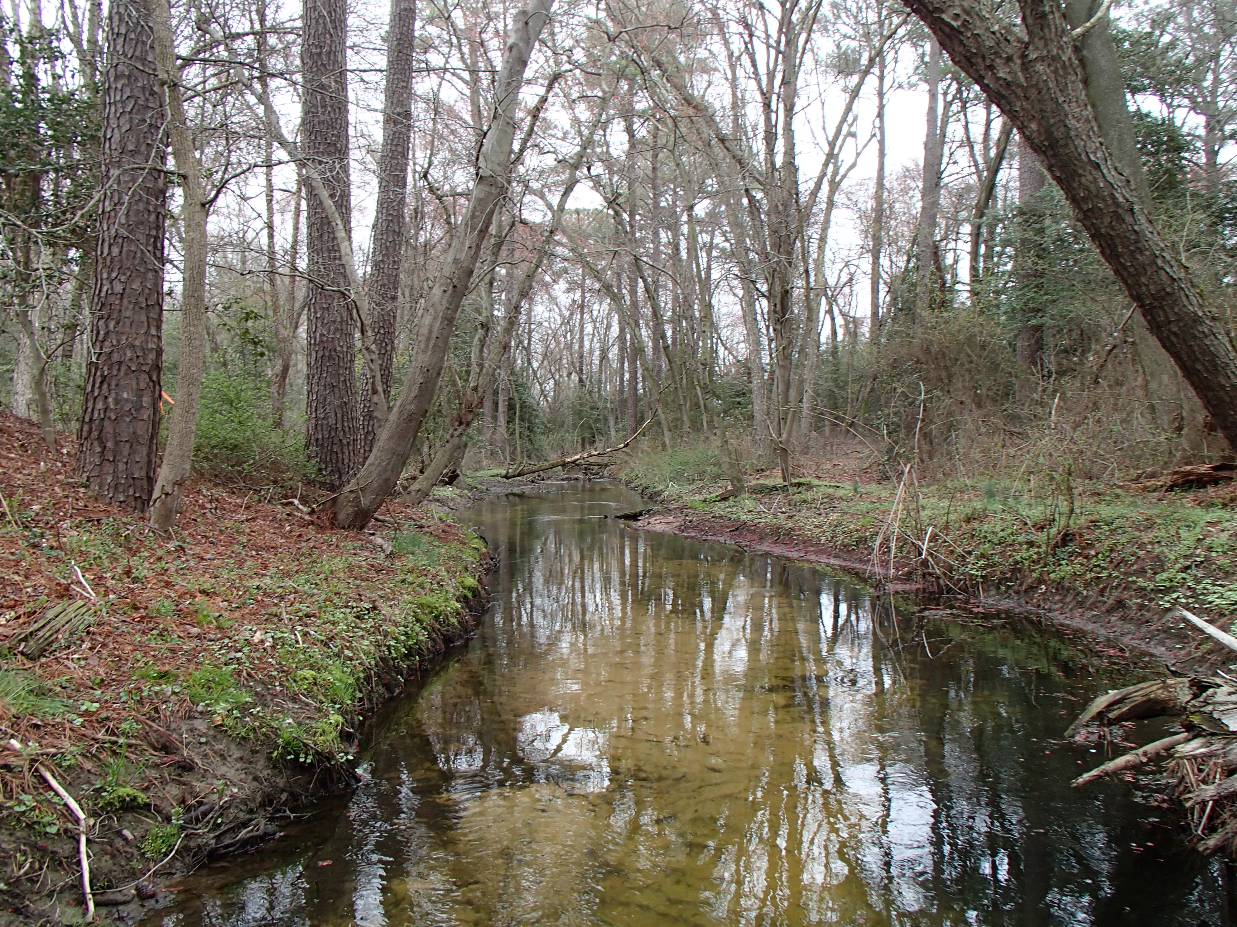 Field photo showing stream conditions at site MACK-115-R-2015_Midpoint-upstream