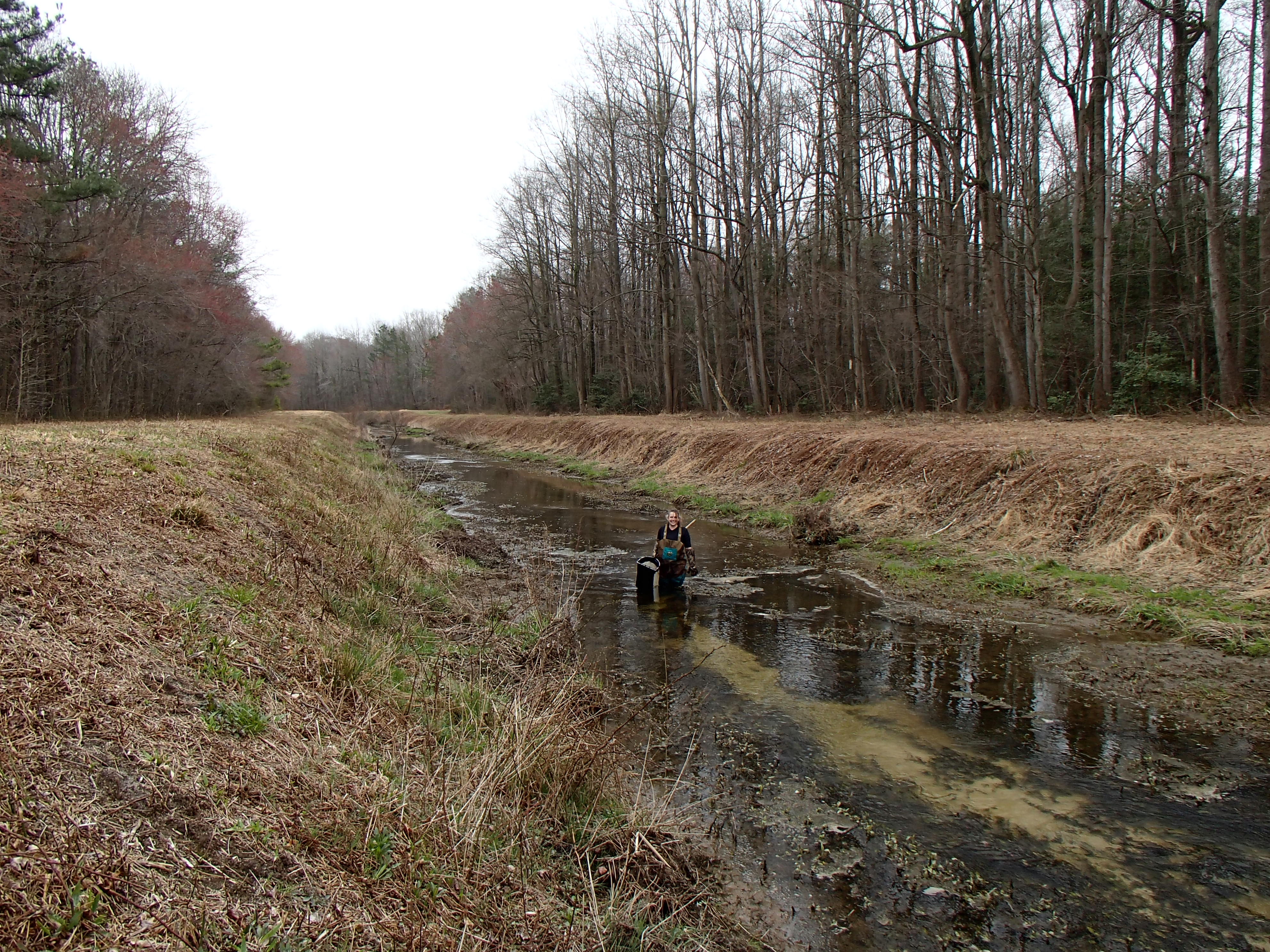 Field photo showing stream conditions at site MACK-122-R-2015_Midpoint-downstream