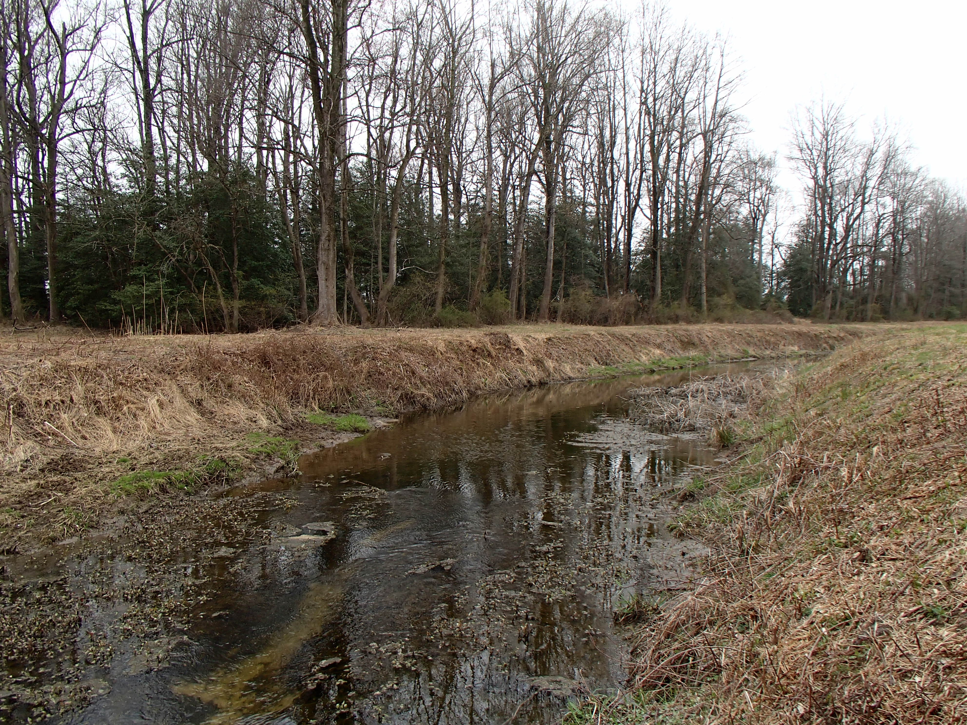 Field photo showing stream conditions at site MACK-122-R-2015_Midpoint-upstream