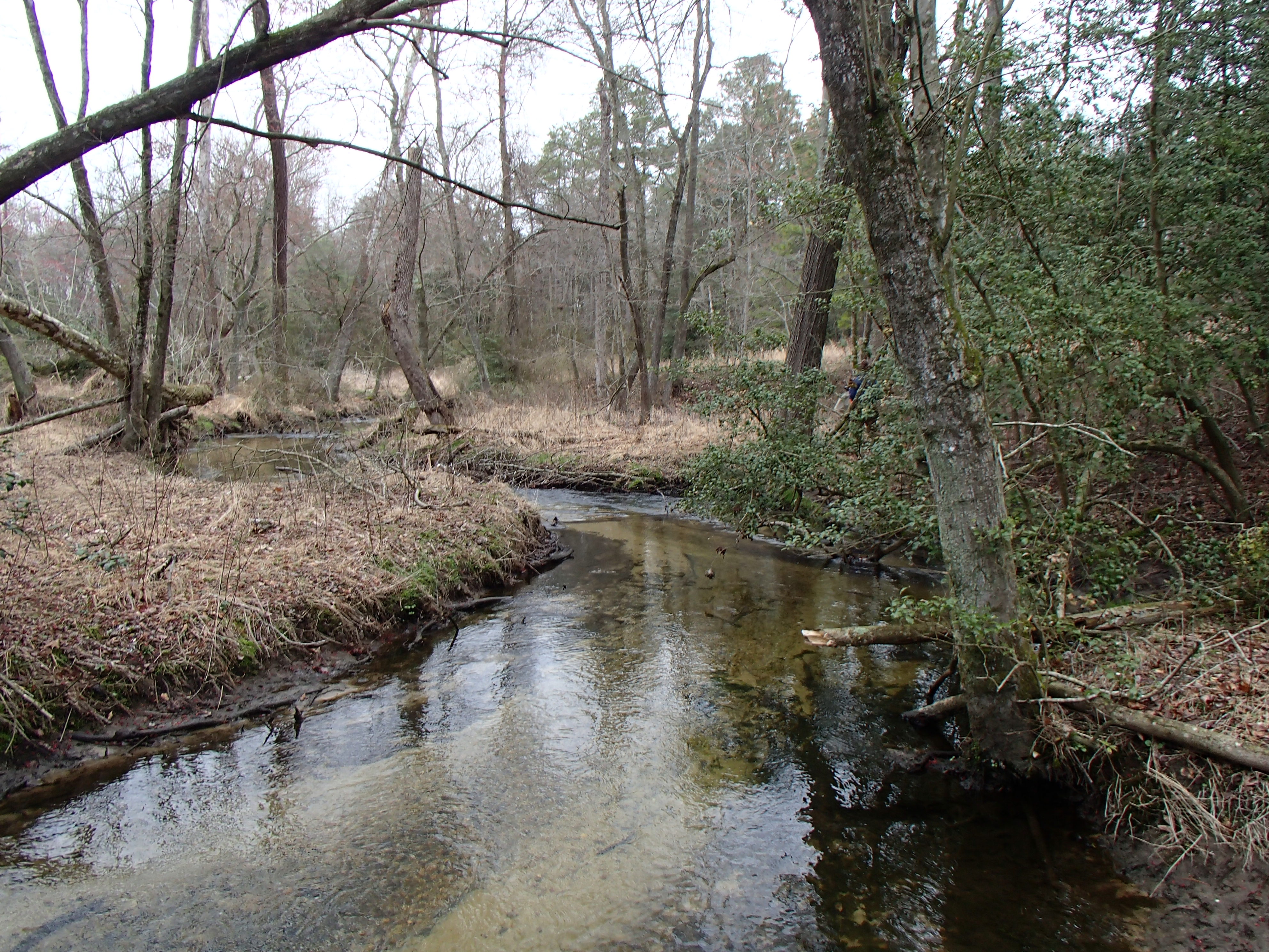 Field photo showing stream conditions at site MACK-202-R-2015_Midpoint-downstream
