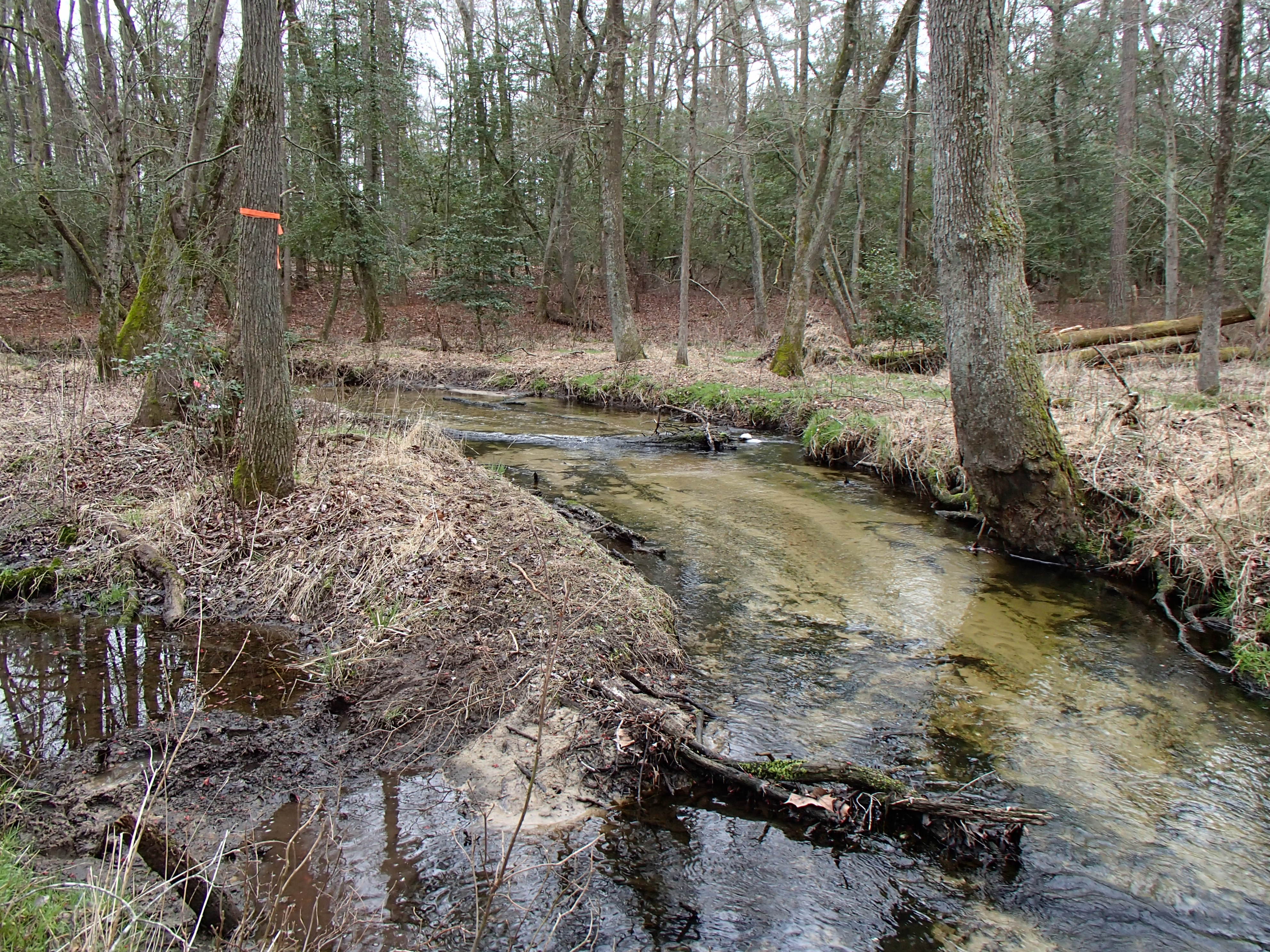 Field photo showing stream conditions at site MACK-202-R-2015_Midpoint-upstream