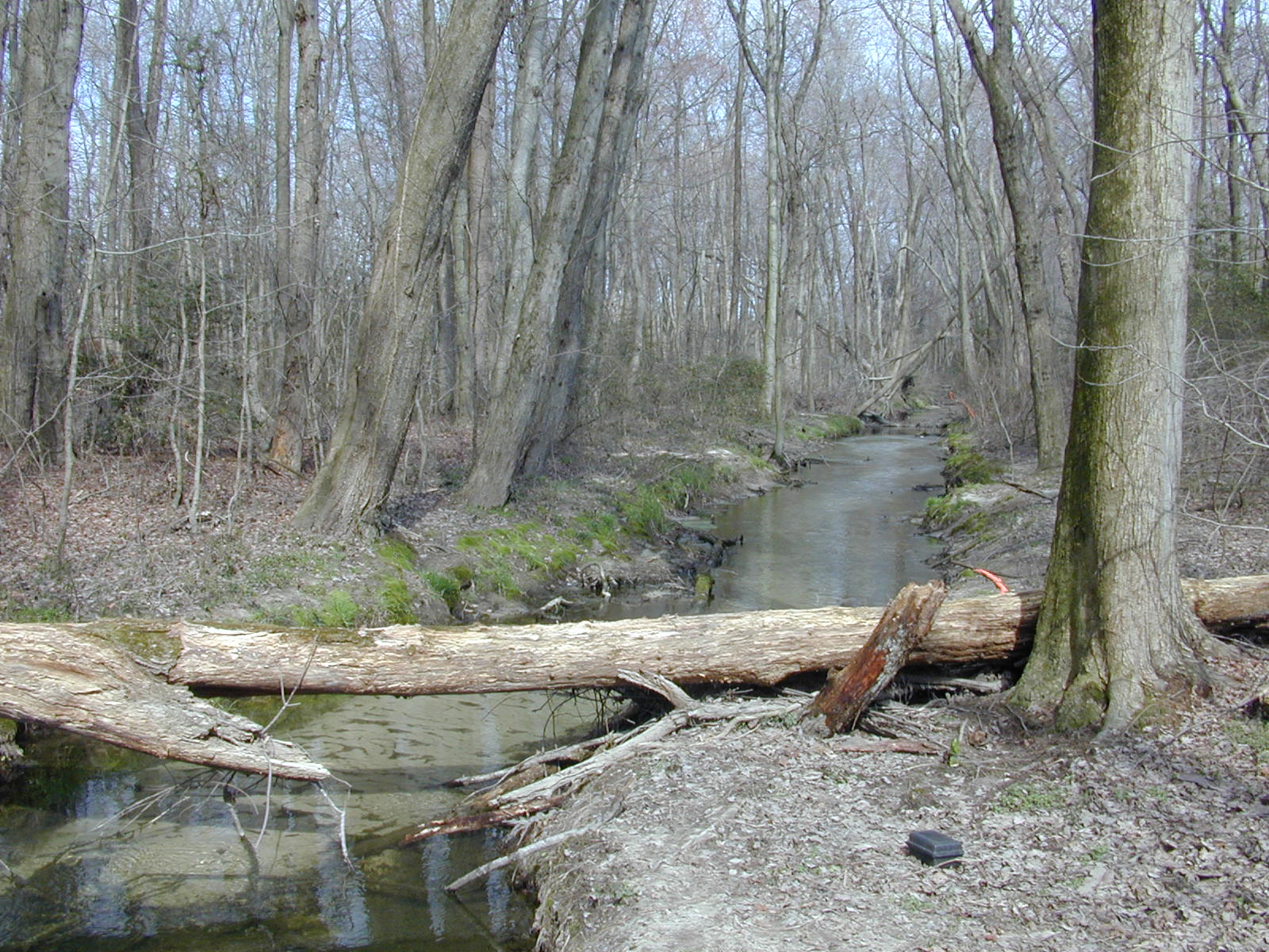 Field photo showing stream conditions at site MACK-204-R-2004-2