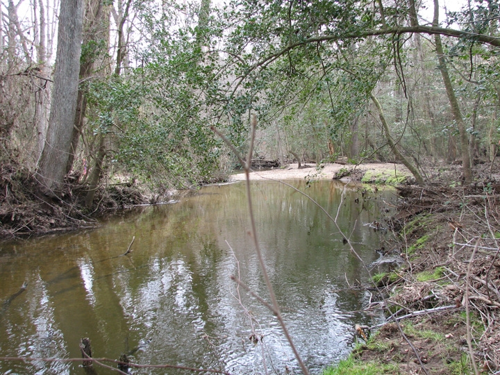 Field photo showing stream conditions at site MACK-205-R-2007-2