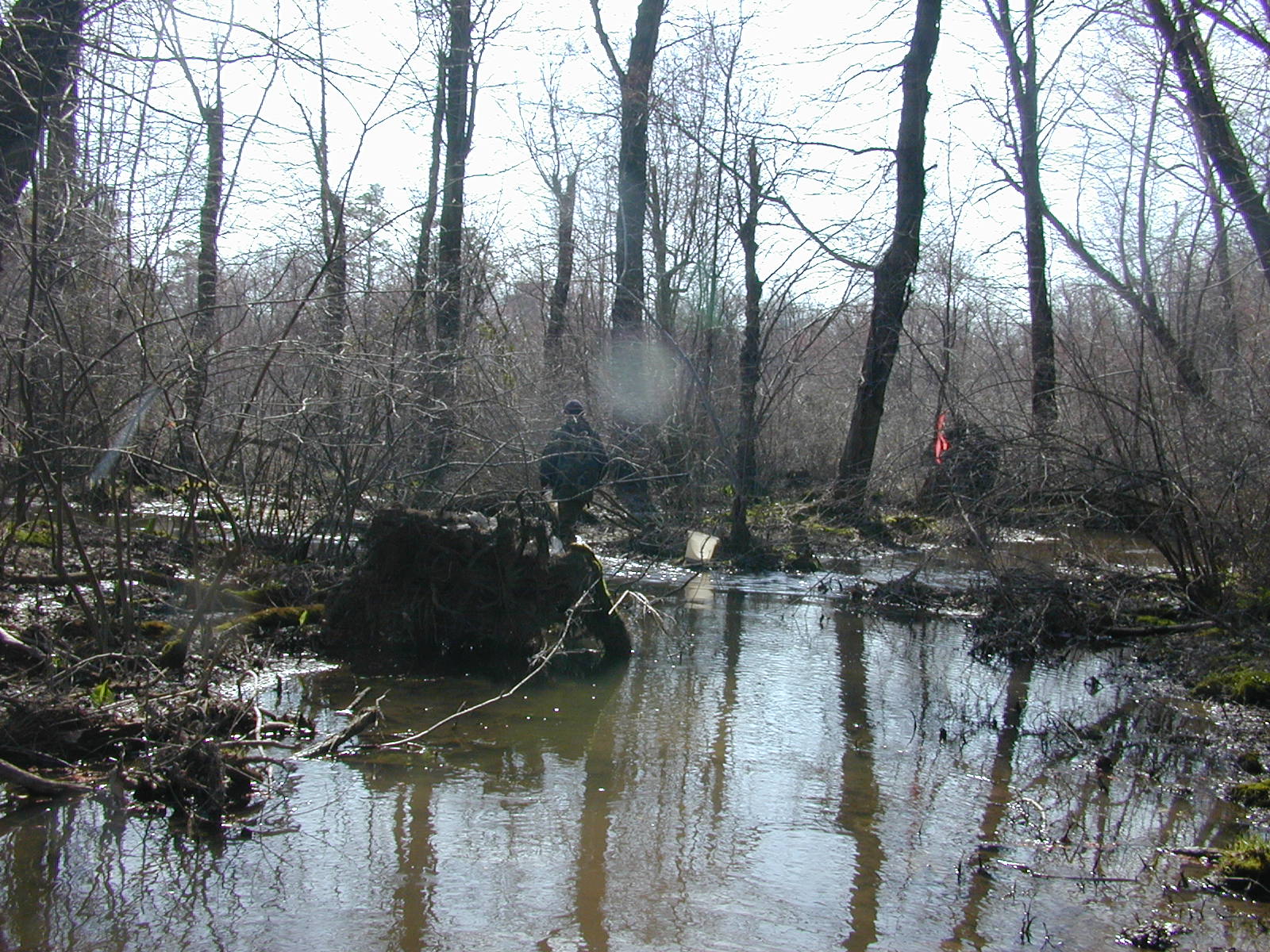 Field photo showing stream conditions at site MACK-218-R-2004-1