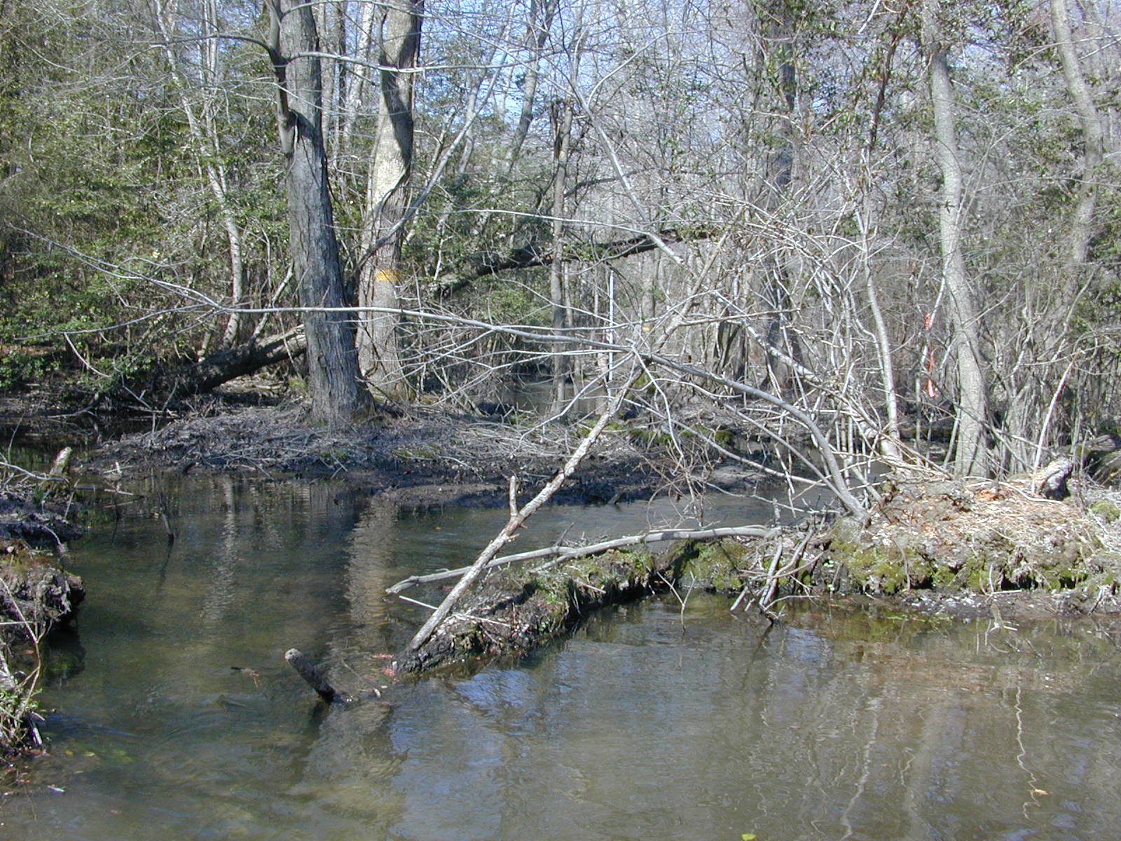 Field photo showing stream conditions at site MACK-218-R-2004-2