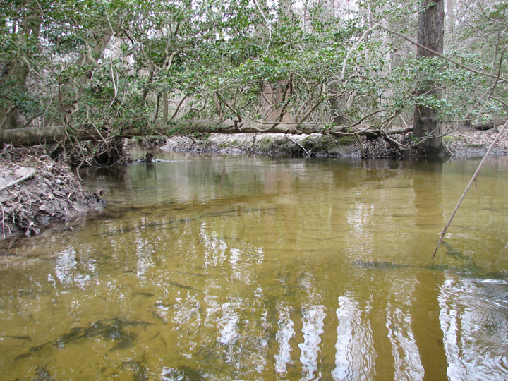 Field photo showing stream conditions at site MACK-266-A-2007-1