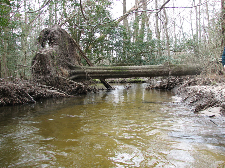 Field photo showing stream conditions at site MACK-266-A-2007-2