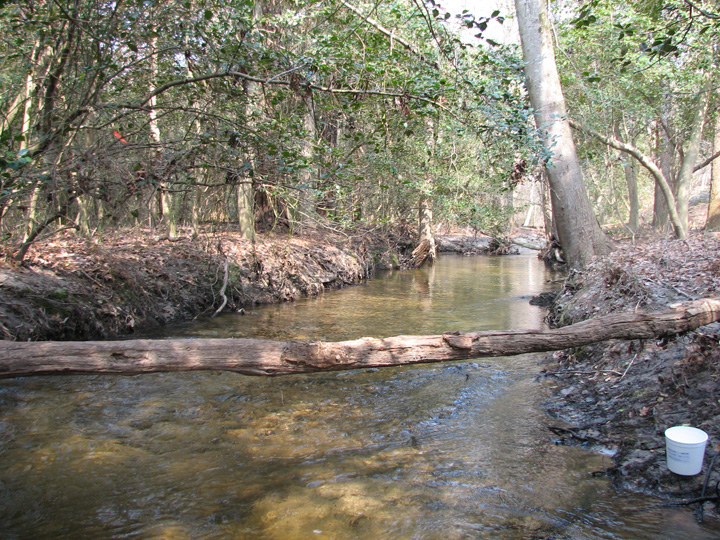 Field photo showing stream conditions at site MACK-271-A-2007-1