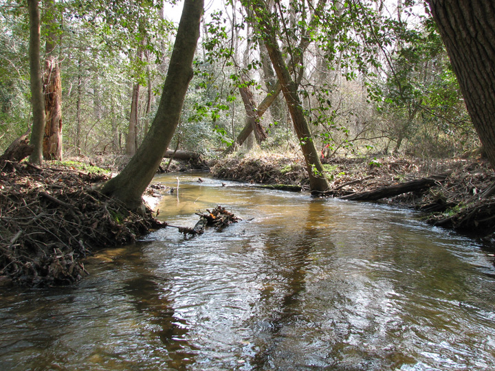 Field photo showing stream conditions at site MACK-271-A-2007-2