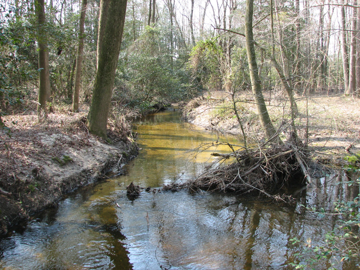 Field photo showing stream conditions at site MACK-278-A-2007-1