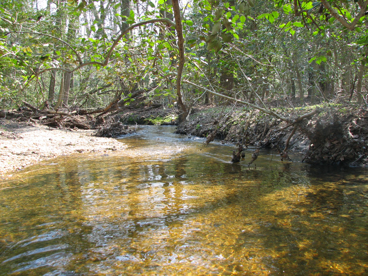 Field photo showing stream conditions at site MACK-278-A-2007-2