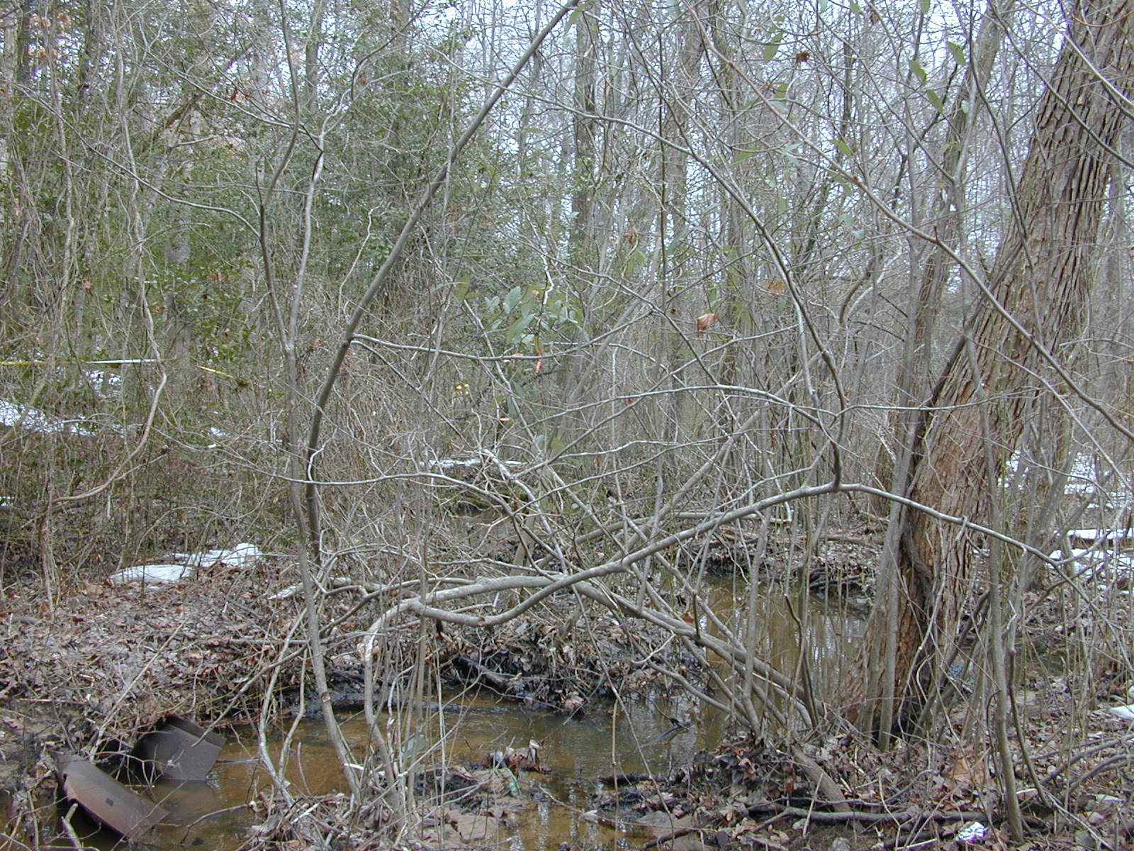 Field photo showing stream conditions at site MAGO-104-R-2003-0838