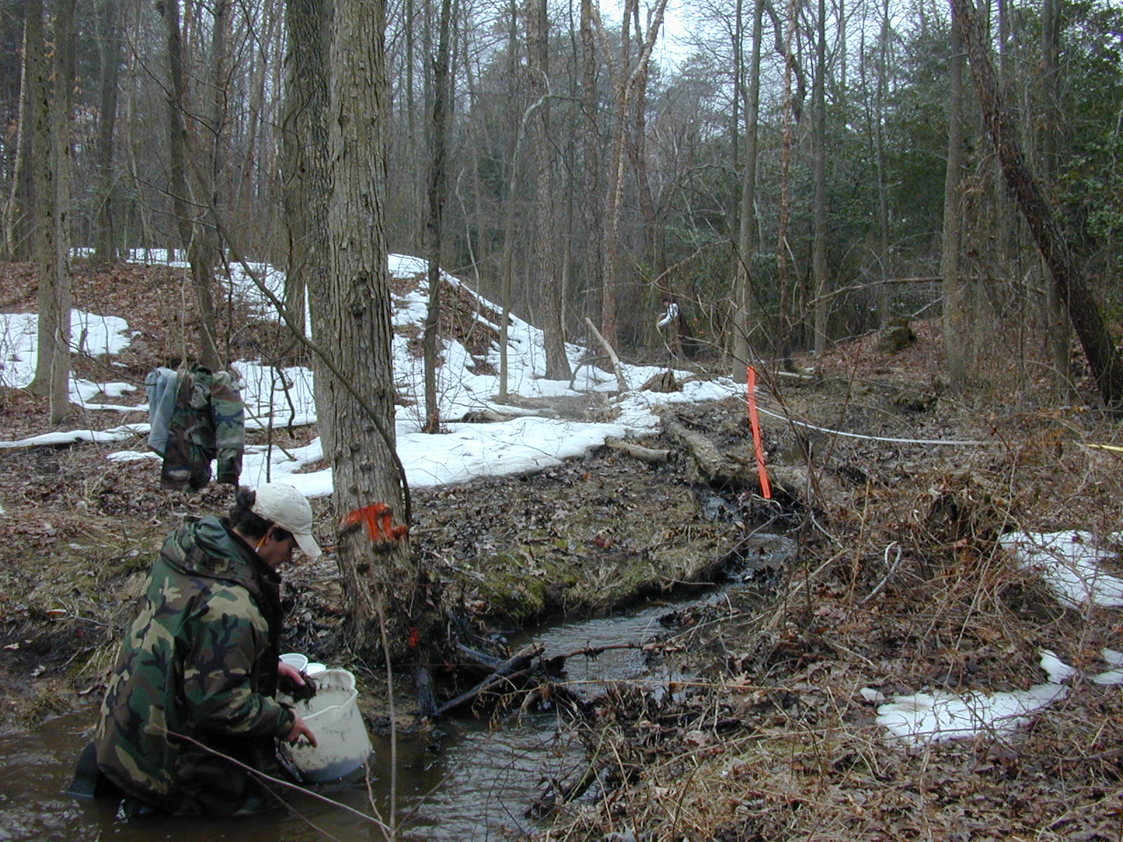 Field photo showing stream conditions at site MAGO-104-R-2003-0839