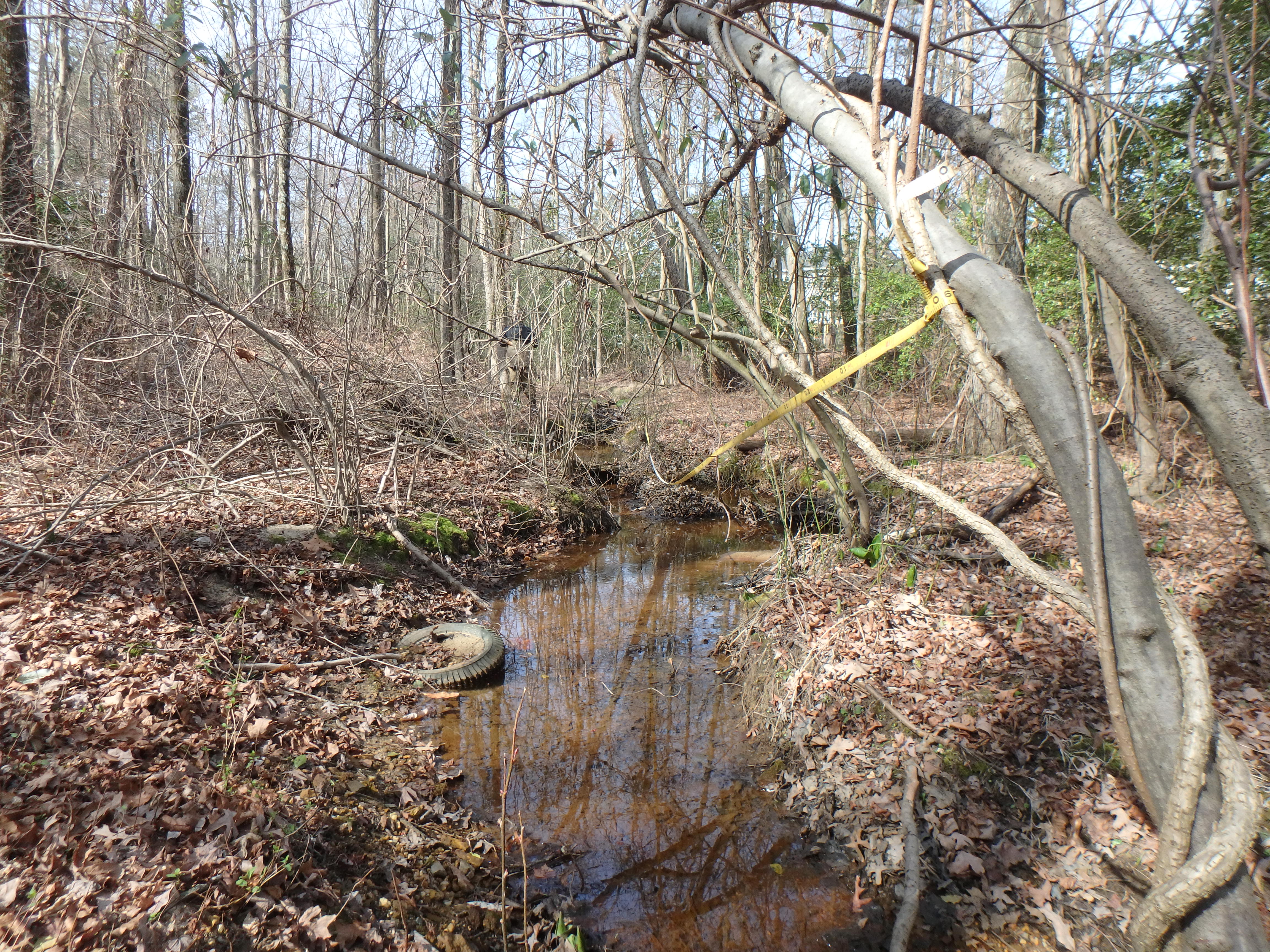 Field photo showing stream conditions at site MAGO-104-R-2017-MidpointLookingUpstream