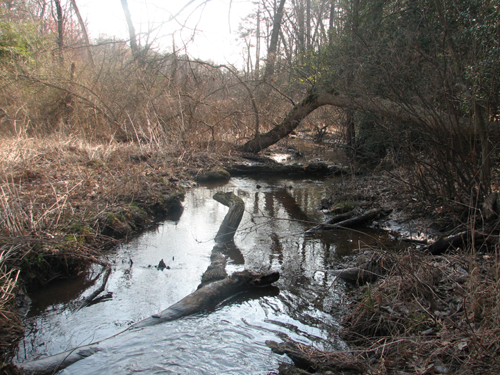 Field photo showing stream conditions at site MAGO-105-B-2008-1