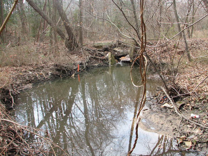 Field photo showing stream conditions at site MAGO-107-B-2008-1