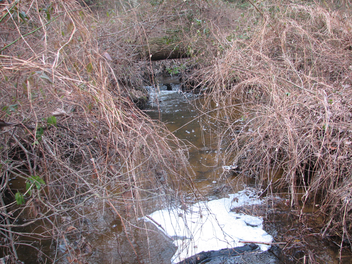 Field photo showing stream conditions at site MAGO-205-R-2008-1