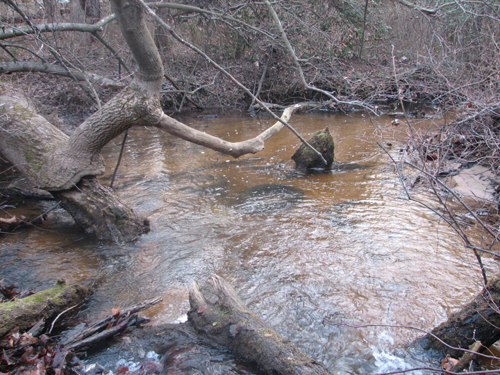 Field photo showing stream conditions at site MAGO-205-R-2008-2