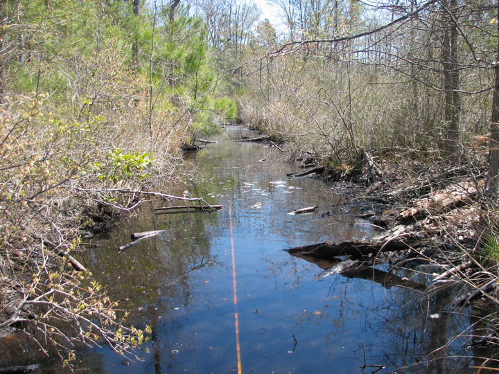 Field photo showing stream conditions at site MANO-102-R-2007-1