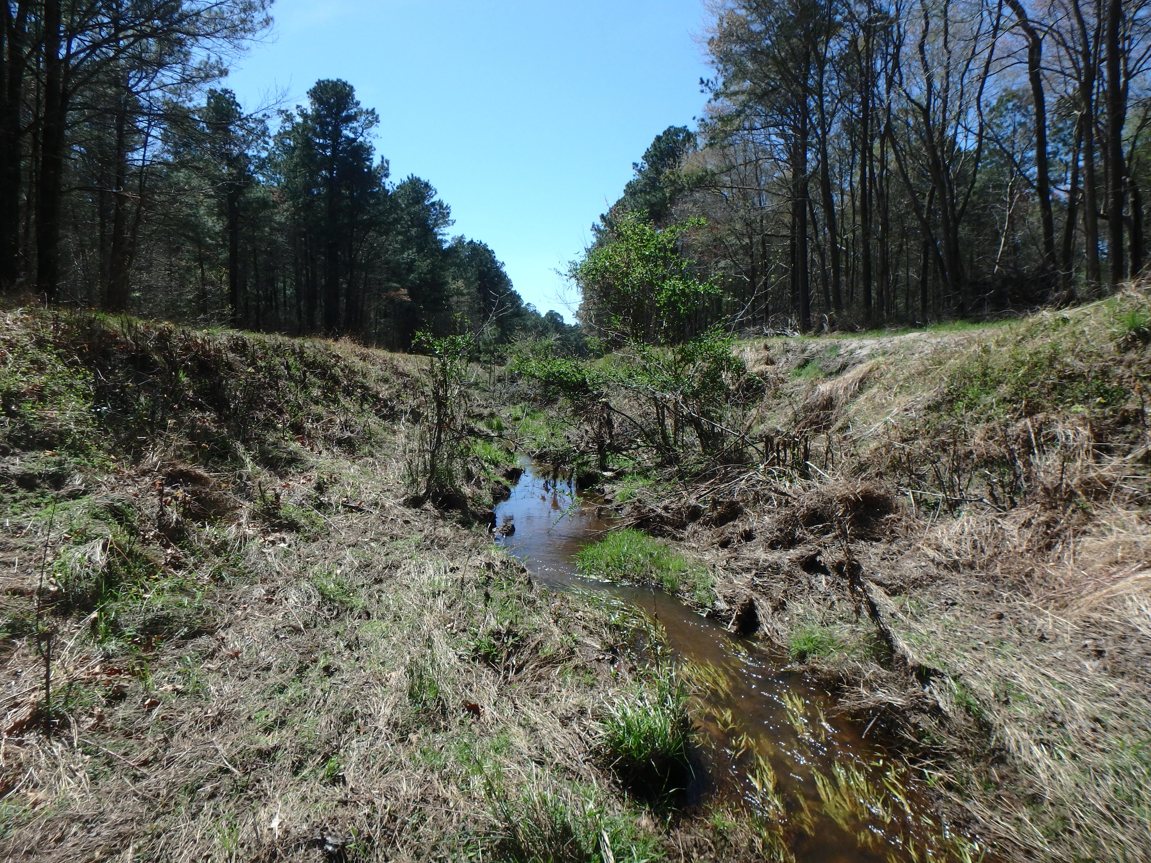 Field photo showing stream conditions at site MANO-102-R-2017-MidpointLookingDownstream