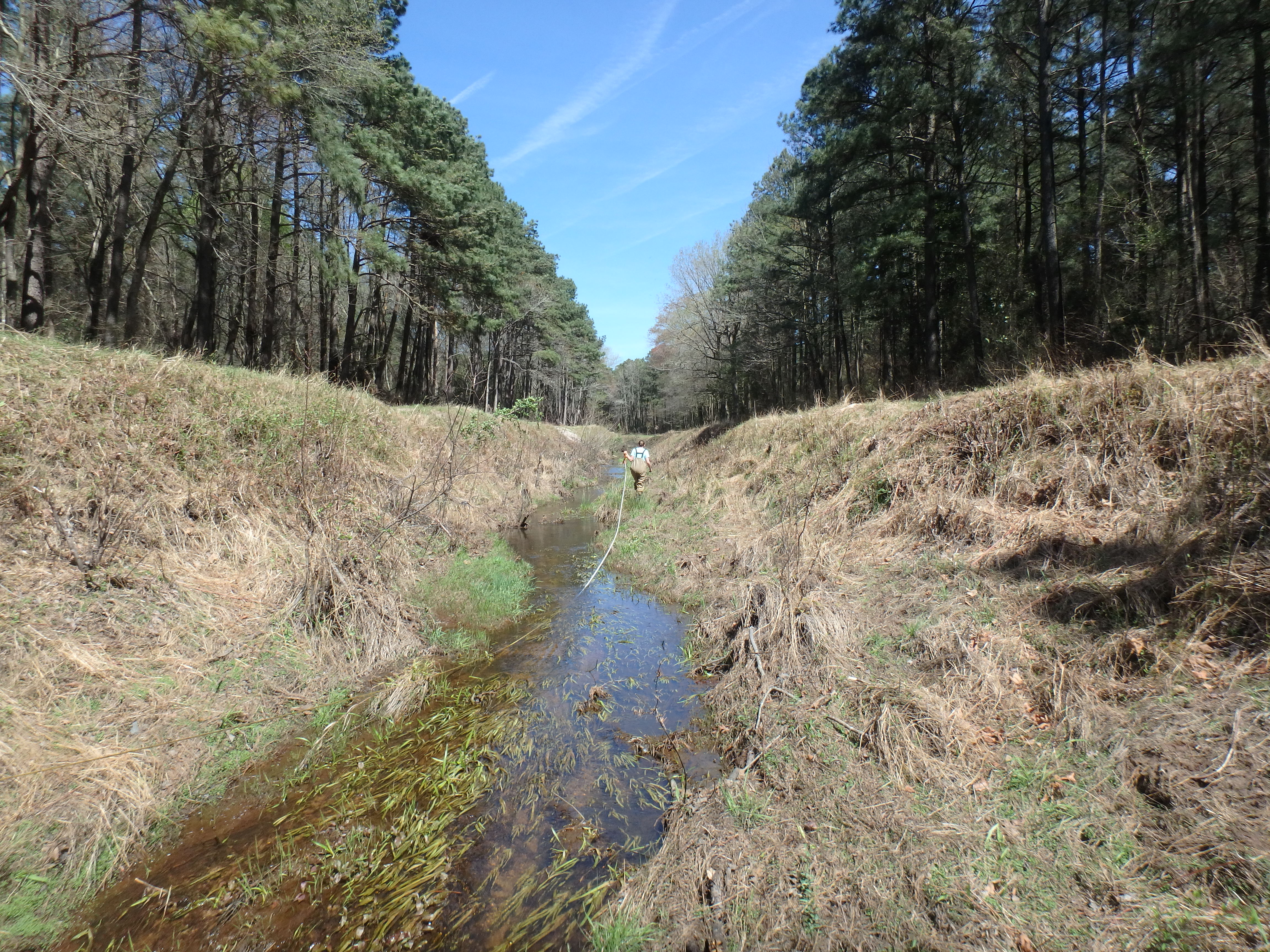 Field photo showing stream conditions at site MANO-102-R-2017-MidpointLookingUpstream