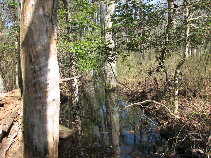 Field photo showing stream conditions at site MANO-104-R-2007-1