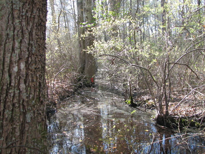 Field photo showing stream conditions at site MANO-104-R-2007-2