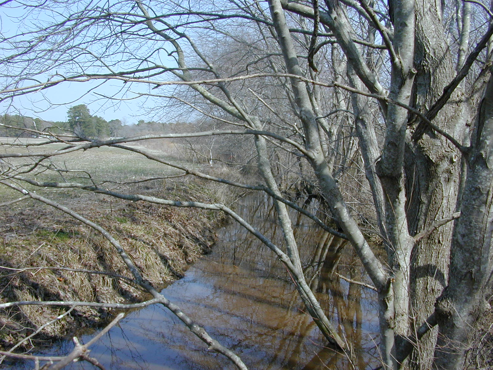 Field photo showing stream conditions at site MANO-105-R-2003-0856