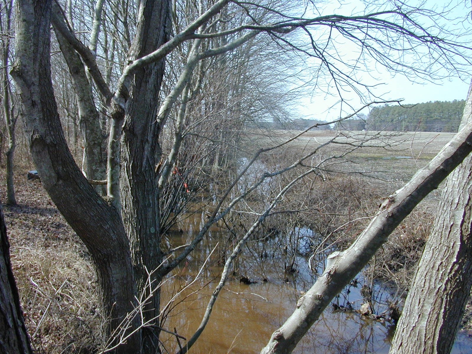 Field photo showing stream conditions at site MANO-105-R-2003-0857
