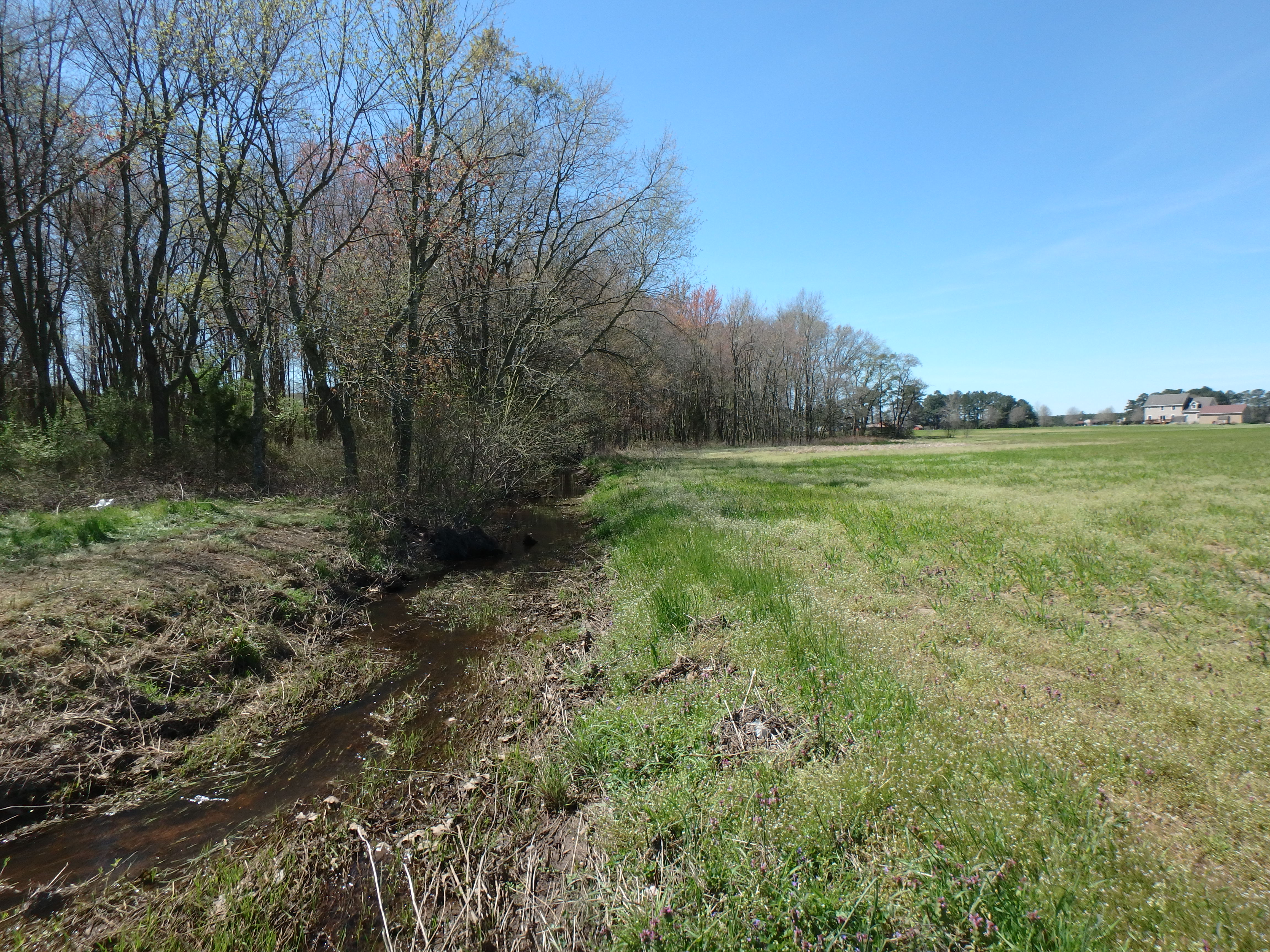 Field photo showing stream conditions at site MANO-105-R-2017-MidpointLookingDownstream