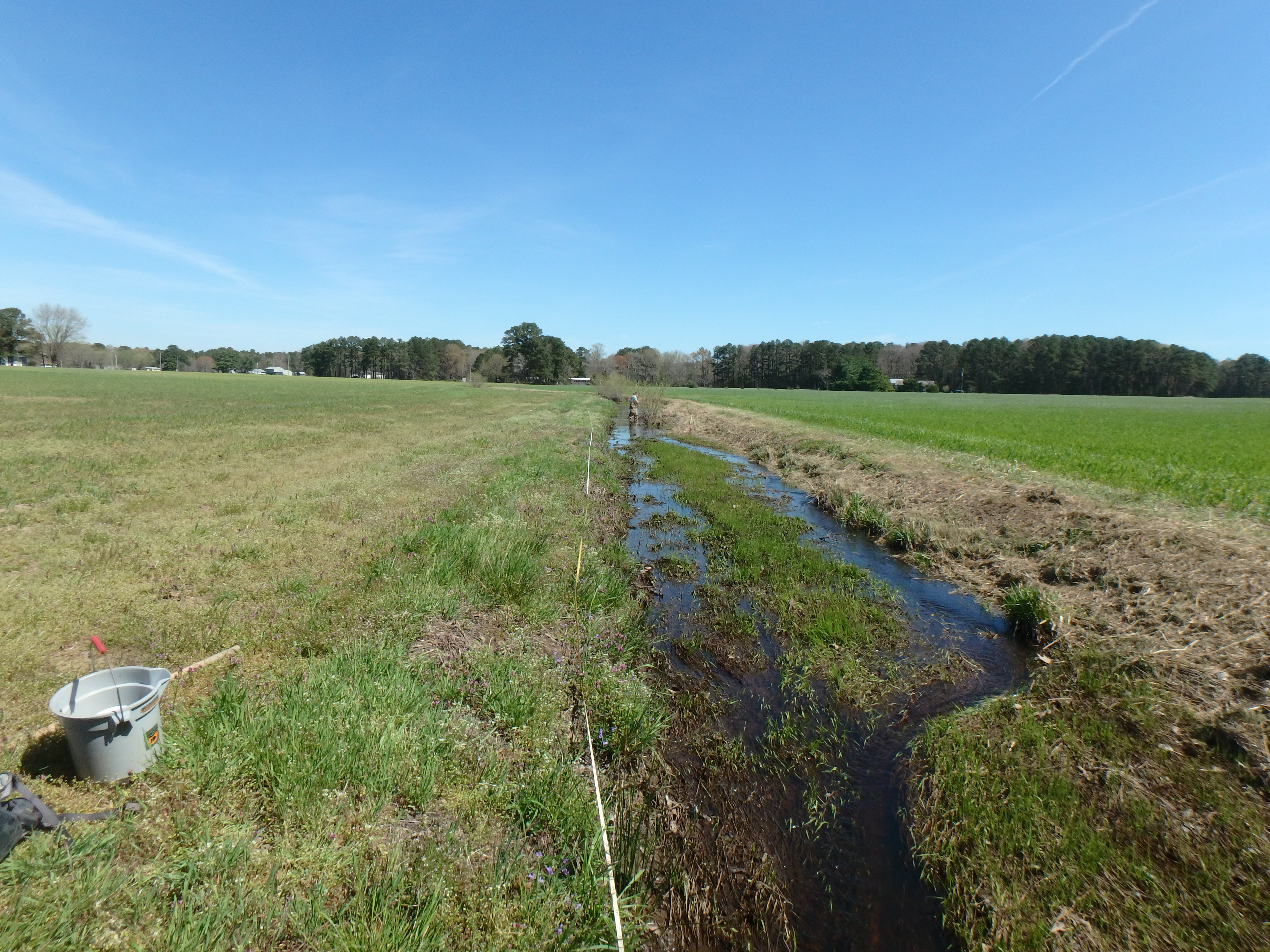 Field photo showing stream conditions at site MANO-105-R-2017-MidpointLookingUpstream