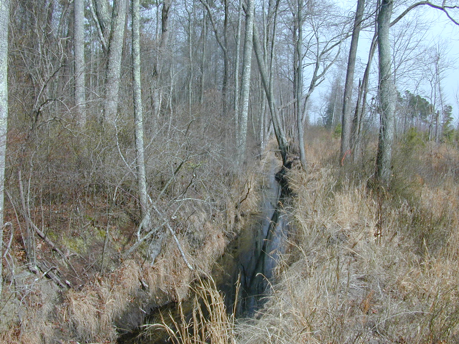Field photo showing stream conditions at site MANO-107-R-2003-0879
