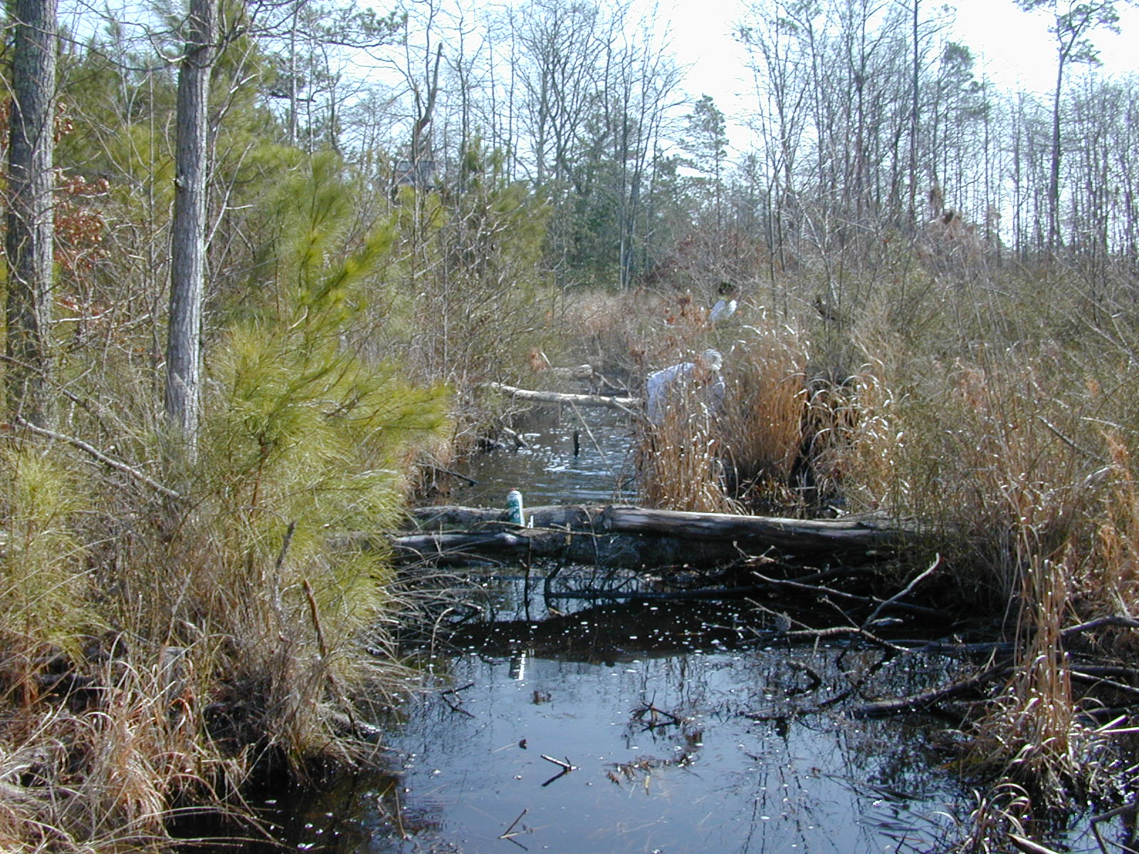 Field photo showing stream conditions at site MANO-108-R-2003-0855