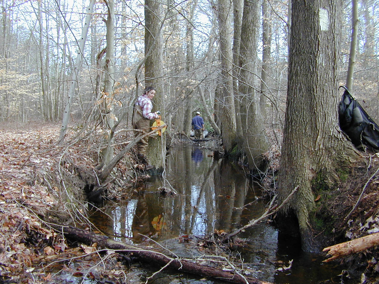 Field photo showing stream conditions at site MANO-111-R-2003-0849