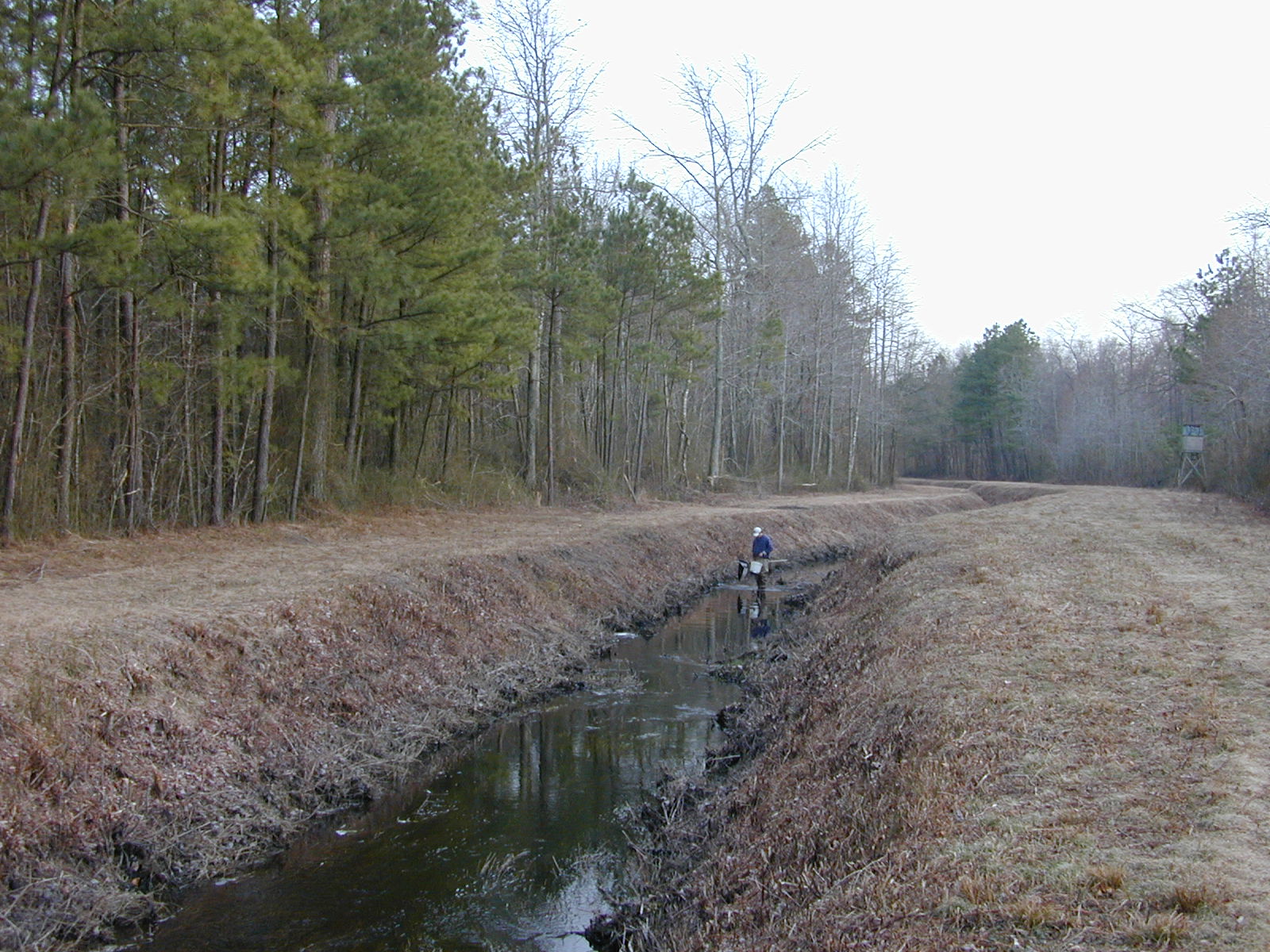 Field photo showing stream conditions at site MANO-113-R-2003-0850