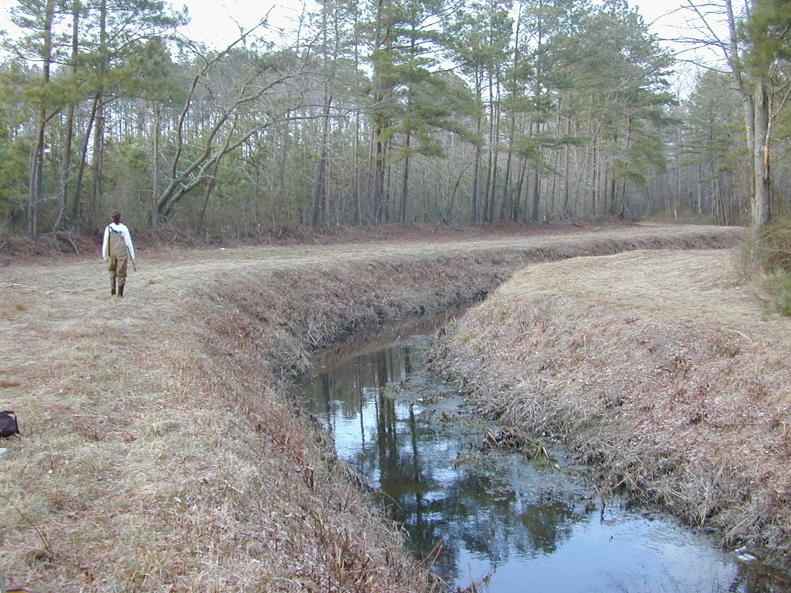Field photo showing stream conditions at site MANO-113-R-2003-0851