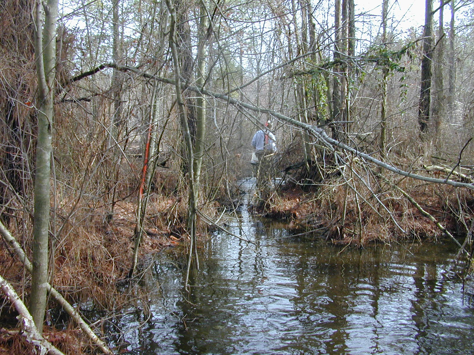 Field photo showing stream conditions at site MANO-117-R-2003-0878