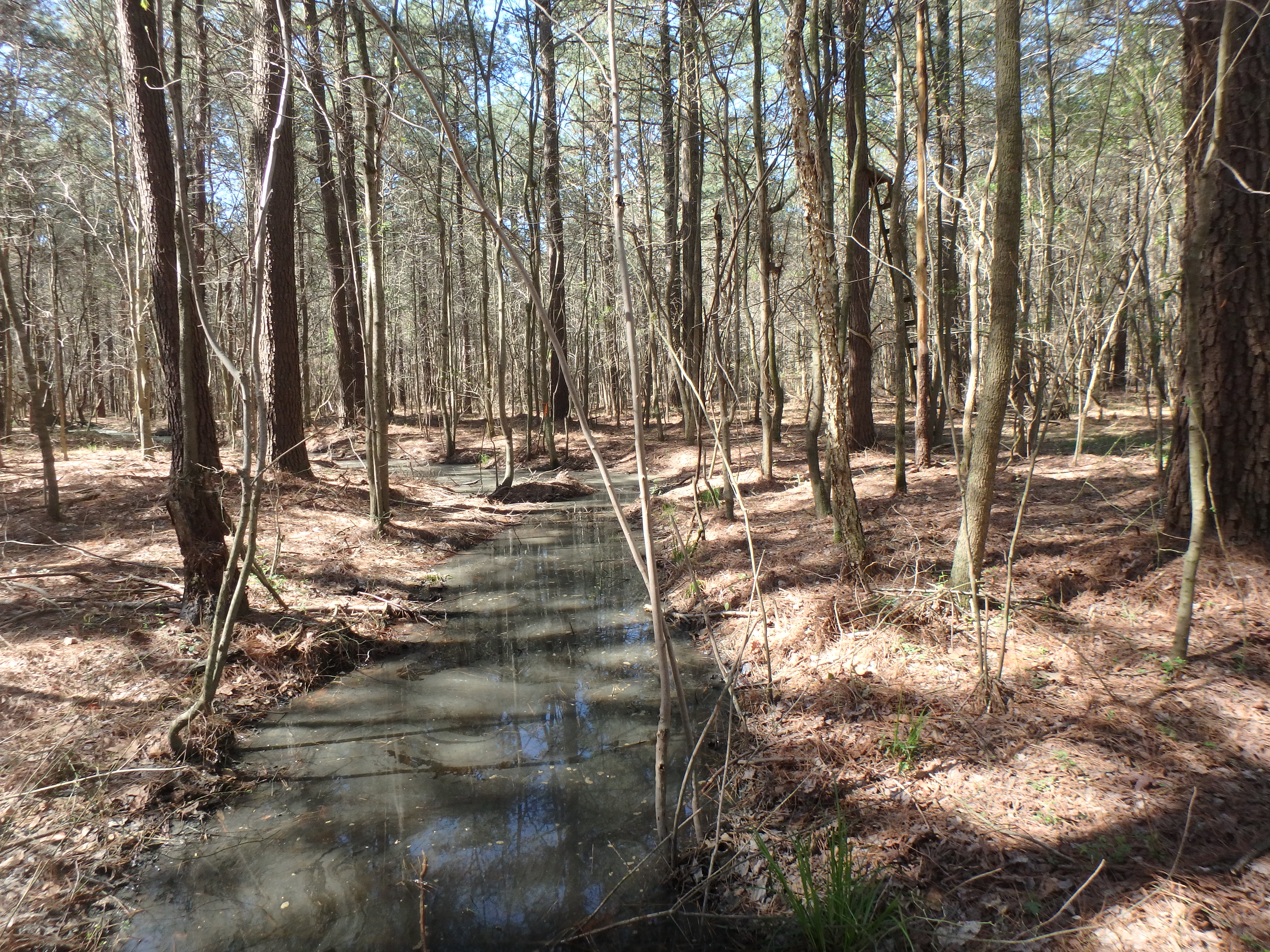 Field photo showing stream conditions at site MANO-117-R-2017-MidpointLookingDownstream