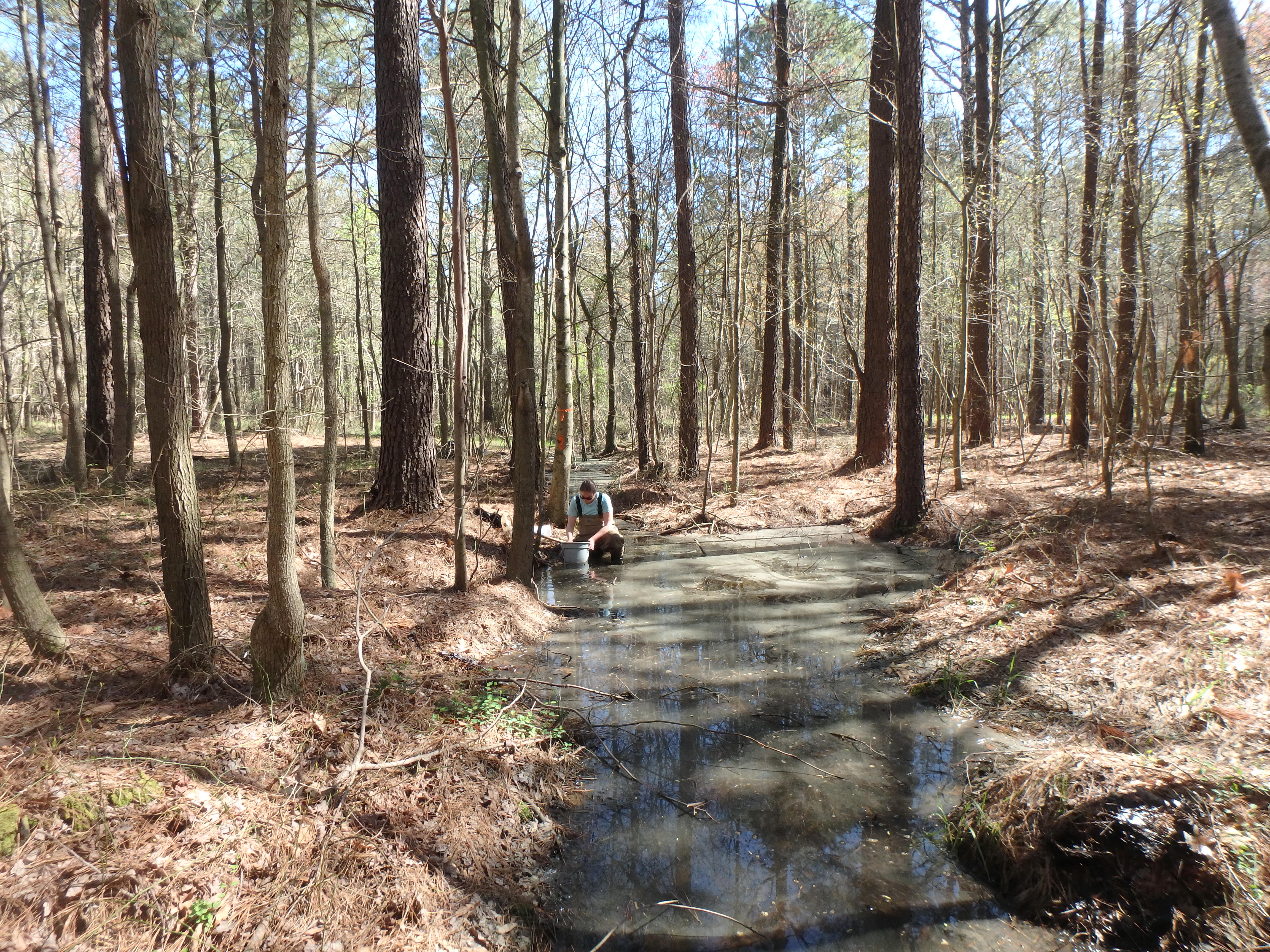 Field photo showing stream conditions at site MANO-117-R-2017-MidpointLookingUpstream