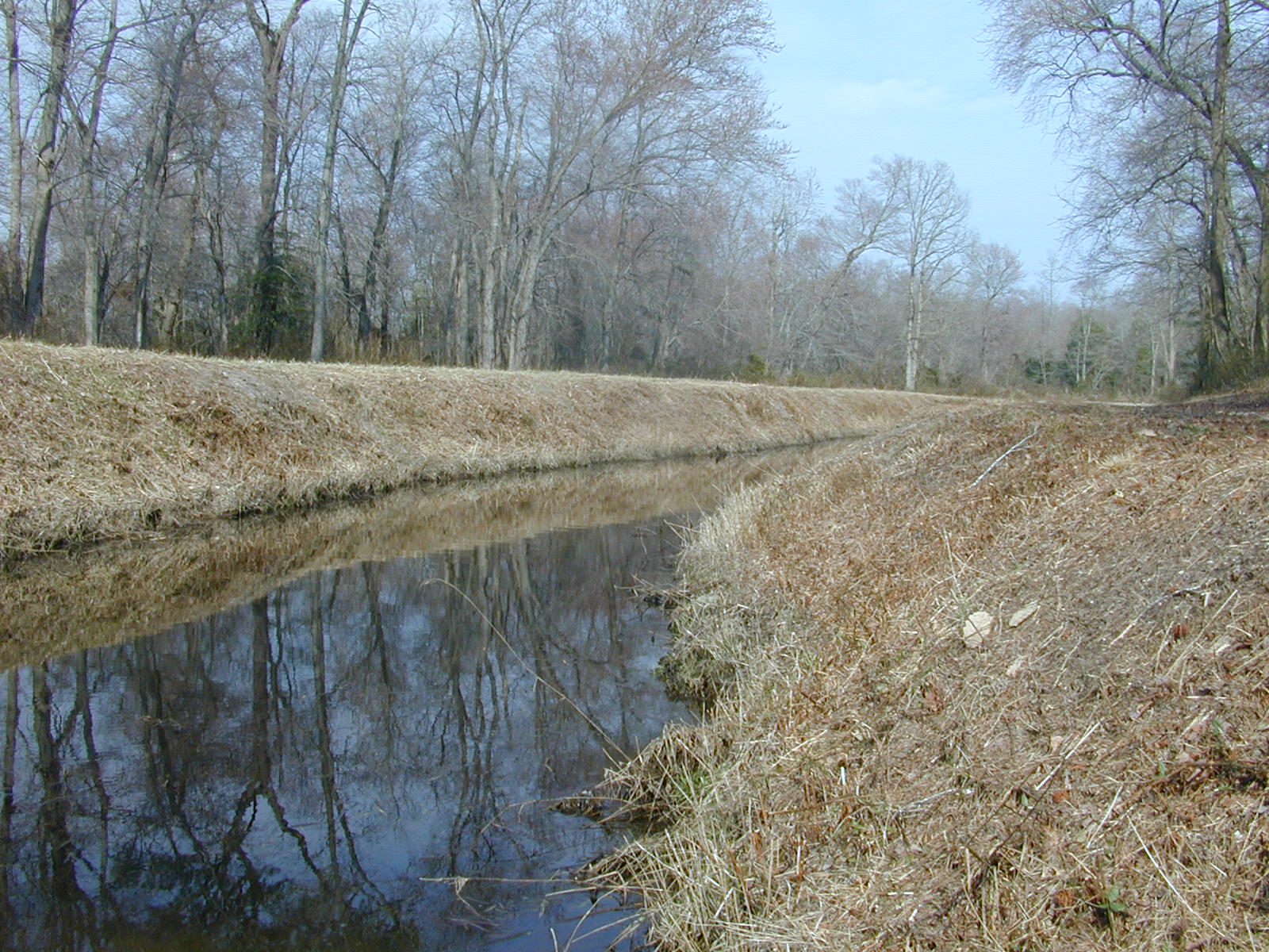 Field photo showing stream conditions at site MANO-119-R-2003-0860