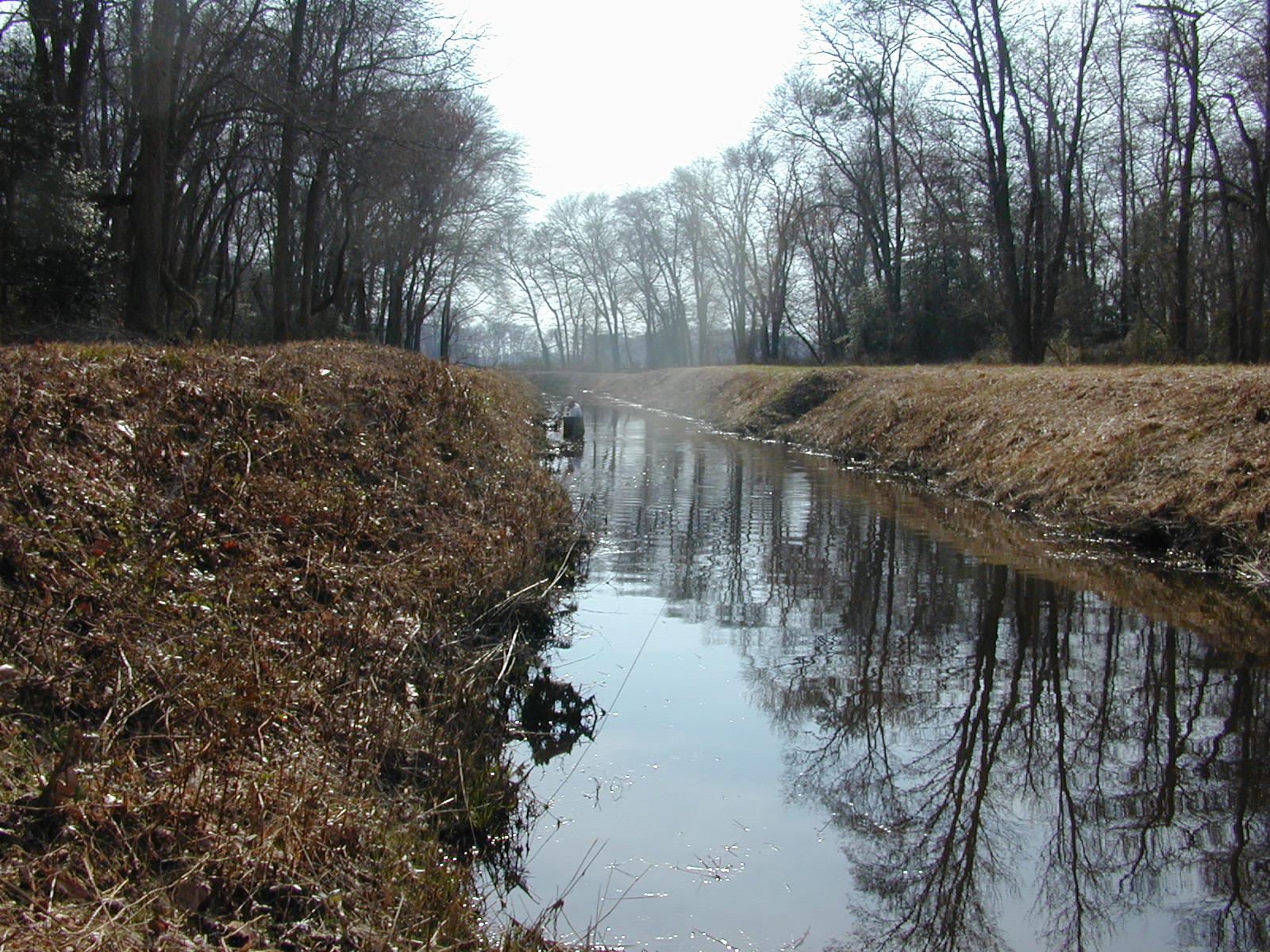 Field photo showing stream conditions at site MANO-119-R-2003-0861