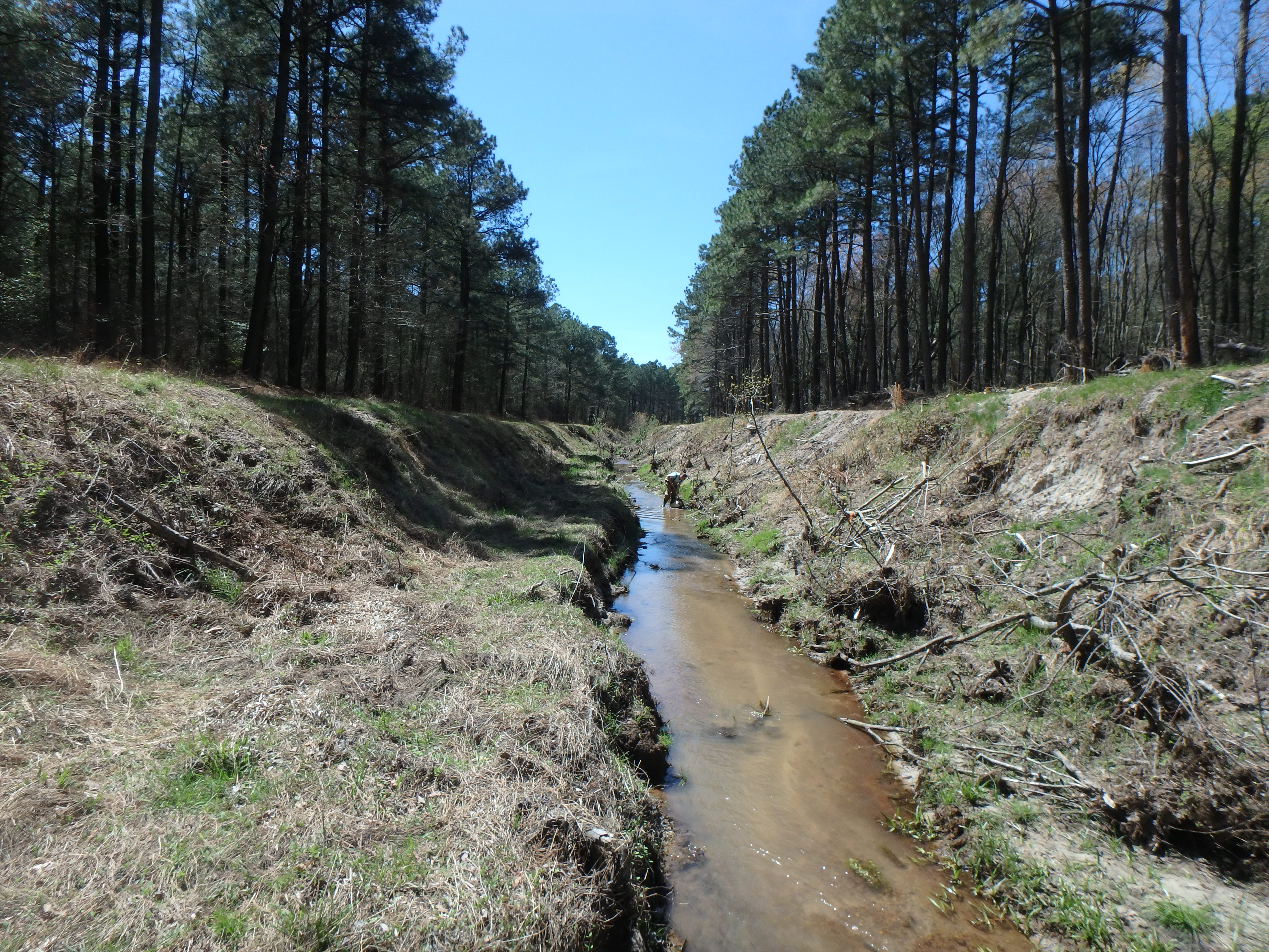 Field photo showing stream conditions at site MANO-119-R-2017-MidpointLookingDownstream
