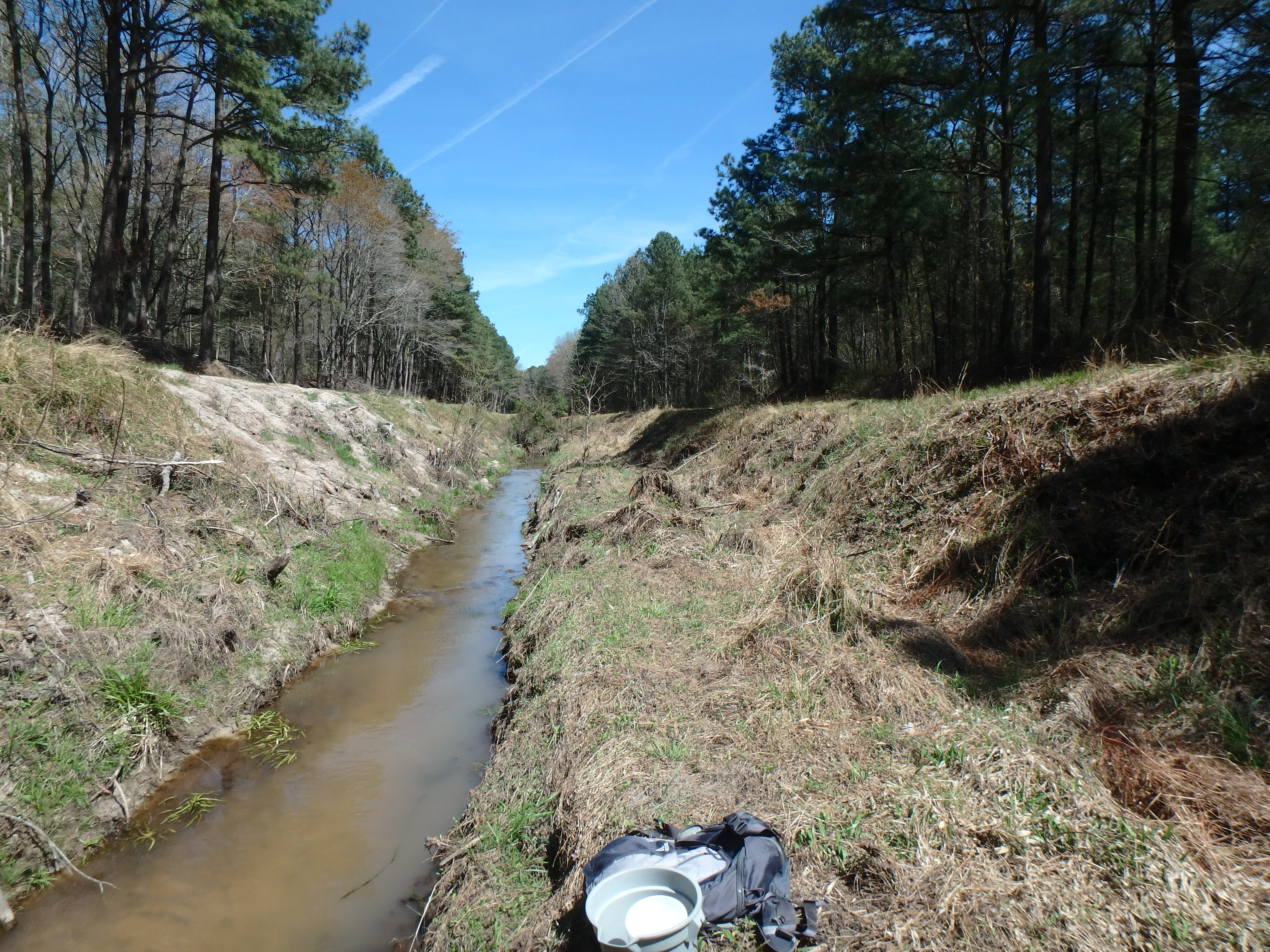 Field photo showing stream conditions at site MANO-119-R-2017-MidpointLookingUpstream
