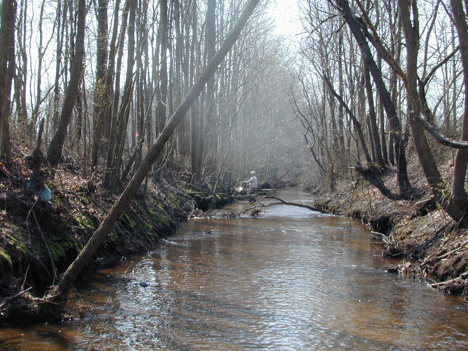 Field photo showing stream conditions at site MANO-203-R-2003-0858