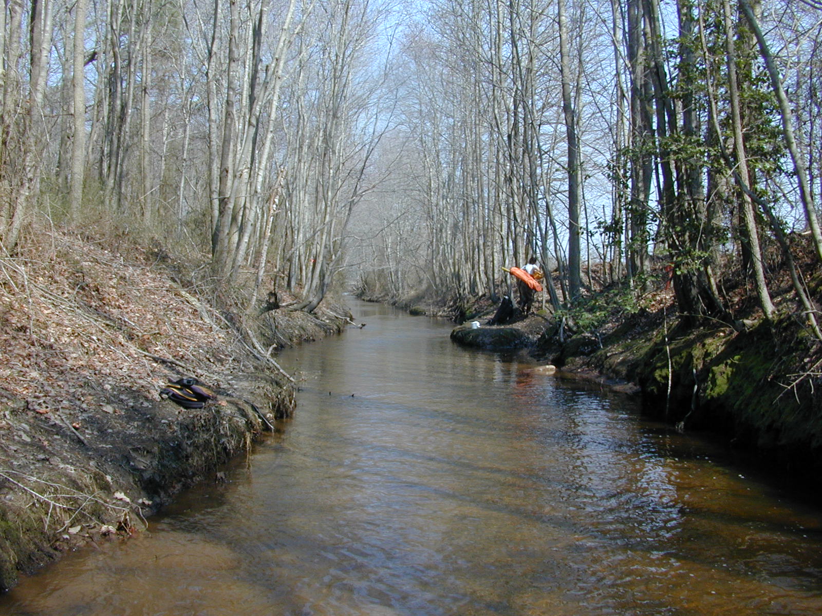 Field photo showing stream conditions at site MANO-203-R-2003-0859